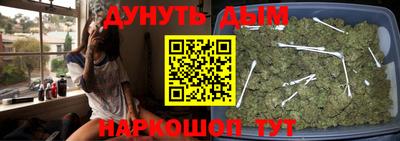 прущие грибы Коммунар