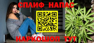 прущие грибы Коммунар