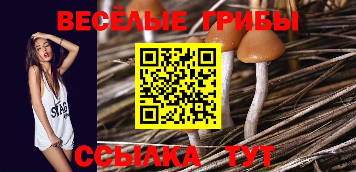 Кемерово  Псилоцибиновые грибы MAGIC MUSHROOMS  где продают наркотики  Вход с VPN 